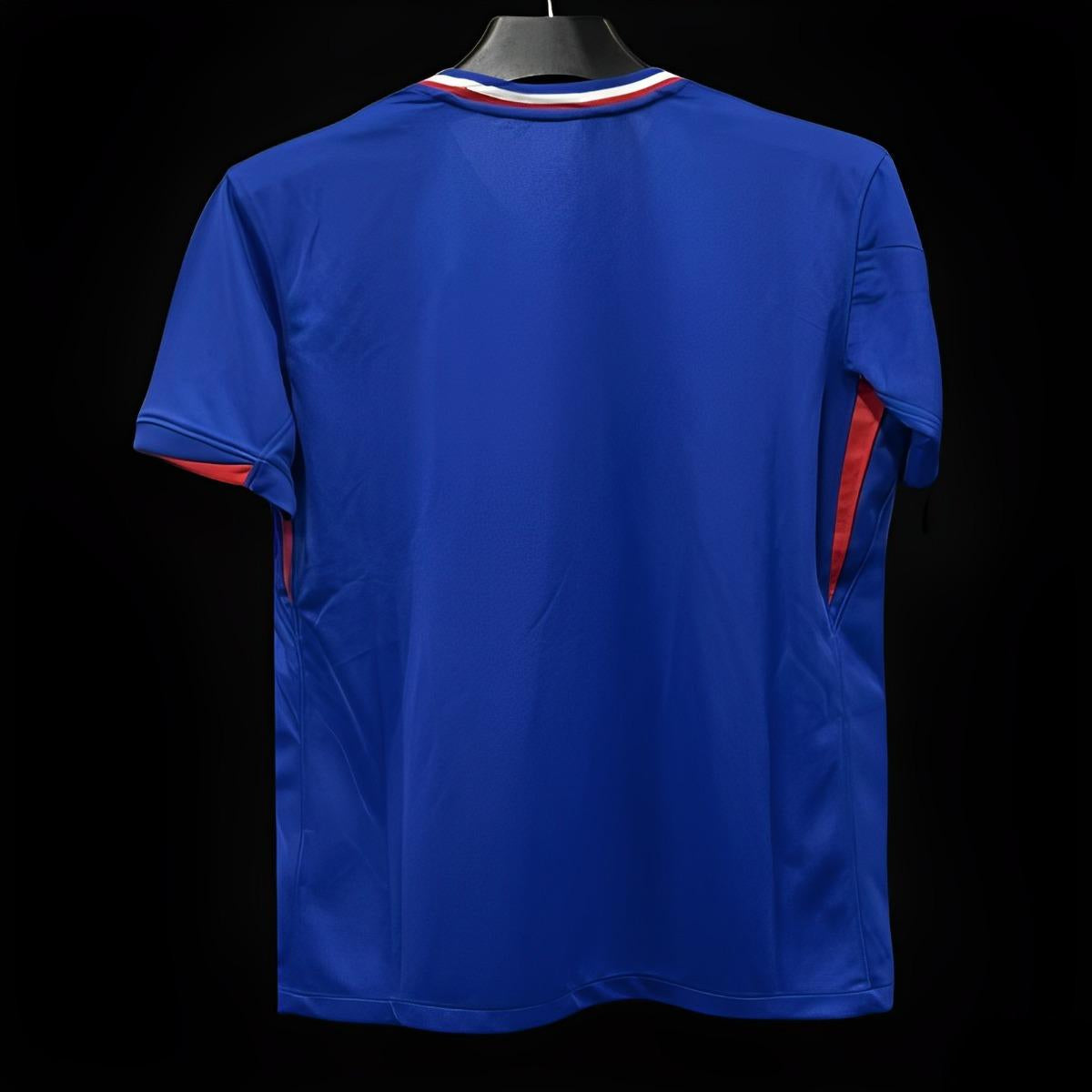 FRANCE MAILLOT DOMICILE 2024 2025