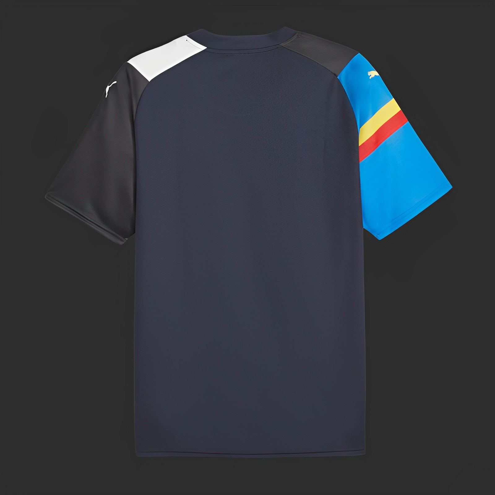 Valencia maillot Édition spéciale 2023 2024